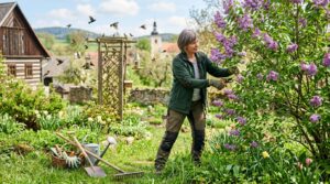 Tři chyby, které na jaře v zahradě raději nedělejte